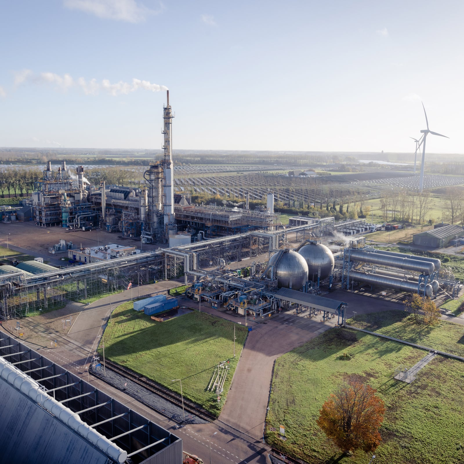 Yara plant van boven